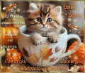 Czwartku Udanego 🍁 Rado�ci� Owianego ...