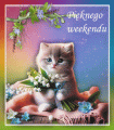 Pięknego weekendu