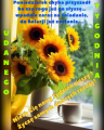.)U�miechni�tego startu w nowy tydzie�!