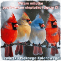 ❄Witam milutko w Czwartek