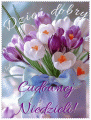  💐 Witam Ci� pi�knie w Niedziel�!