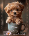  ☕ Milutkie poniedzia�kowe dzie� dobry  