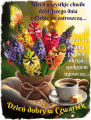  🪻 Dzie� dobry w Czwartek