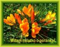 Witam milutko o poranku!