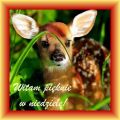 Witam pi�knie w niedziel�!
