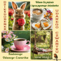 🌹Witam Cię pięknie w czwartek !