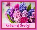 Radosnej i udanej �rody!