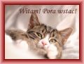Dzie� Dobry! Pora wstac!