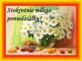 Stokrotnie udanego poniedzia�ku!
