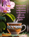   💕Dzie� dobry w Czwartek!