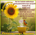     ☕Na ten tydzie� nadchodz�cy…