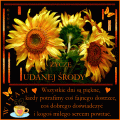 �ycz�  🦋 Udanej �rody ...
