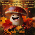   🍂 SUPER SOBOTY 🍄