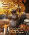    🍂 Pięknej Jesiennej Soboty 
