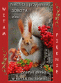 Witam Cię pięknie🧡w sobotni dzionek ...