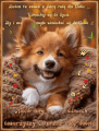 Niech u�miech towarzyszy Ci przez ca�� sobot� ...