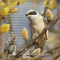 Dzie� dobry💚w wiosenny poniedzia�ek ...
