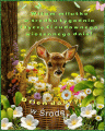 💚�ycz� Ci cudownej wiosennej �rody!