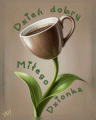 Kwiatuszek na dzie� dobry! U�miechnij si�:)