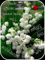 Niech w Twoim sercu zawsze b�dzie maj !