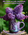   💚Dla Ciebie na mi�y dzioneczek💜