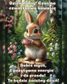    ☕ UDANEGO CZWARTKU 🍀