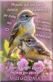 Mi�ego Niedzielnego Dnia 🌺 Pozdrawiam ... 