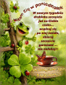  🍀Dużo szczęścia w nowym tygodniu życzę