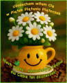  😊Uśmiechnięte piątkowe powitanie💚