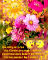   ☀Dla Ciebie na Miły Wtorek 🌸