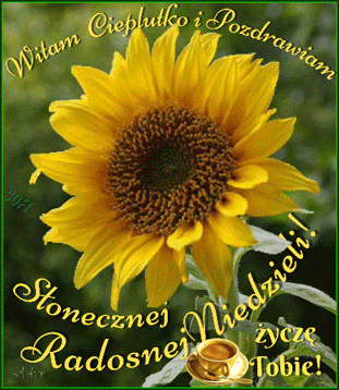 Kartka    💚Witam Ci� Pi�knie w Niedziel�💛