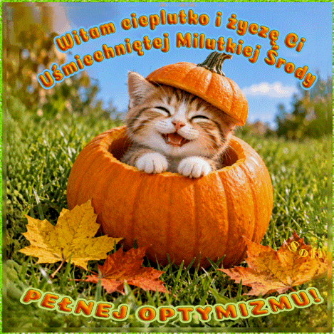 U�miechni�ty rudy kotek siedzi w wydr��onej dyni na trawie w�r�d jesiennych li�ci z napisem