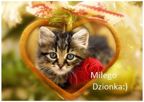 Ma�y pr�gowany kotek z czerwon� w��czk� w ramce w kszta�cie serca, napis Mi�ego Dzionka