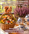   ☕Dzie� dobry w Sobot�🐿
