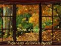 Pi�knego jesiennego dzionka �ycz�!
