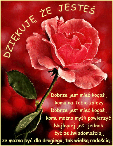 Czerwona r�a na rozmytym tle z napisem Dzi�kuj� �e jeste� i wierszem
