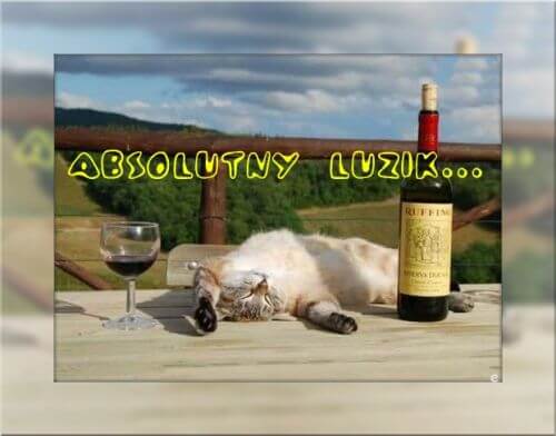 Kartka Absolutny luzik...