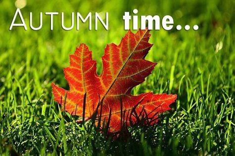 Kartka Autumn time...