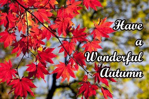 Kartka Have a wonderful autumn!