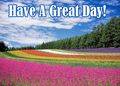 Have A Great Day!