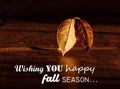 Wishing you happy fall season...