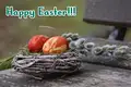Easter Happiness Greeting