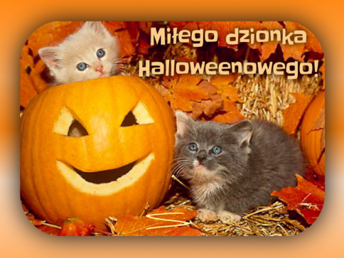 Kartka 🎃Mi�ego Halloweenowego Dzionka!